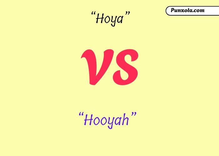 Can I Get a Hoya Meaning