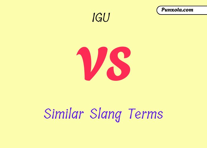 IGU Meaning