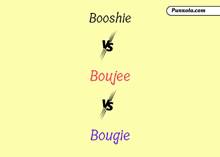 booshy meaning