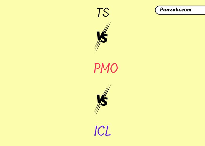 ts pmo meaning