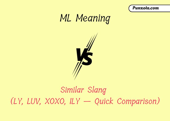 ml meaning text