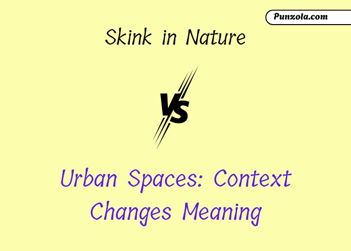 skink meaning