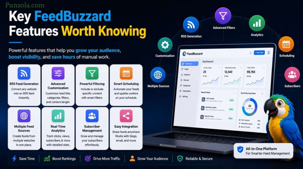 Key FeedBuzzard Features Worth Knowing